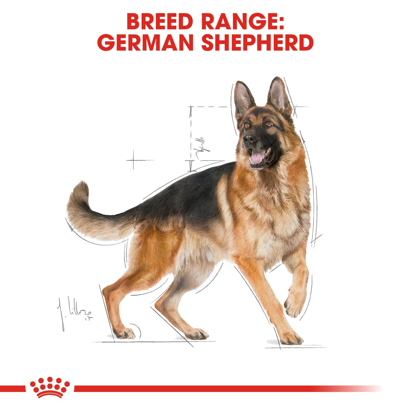 ROYAL CANIN® German Shepherd Adult Dry Dog Food