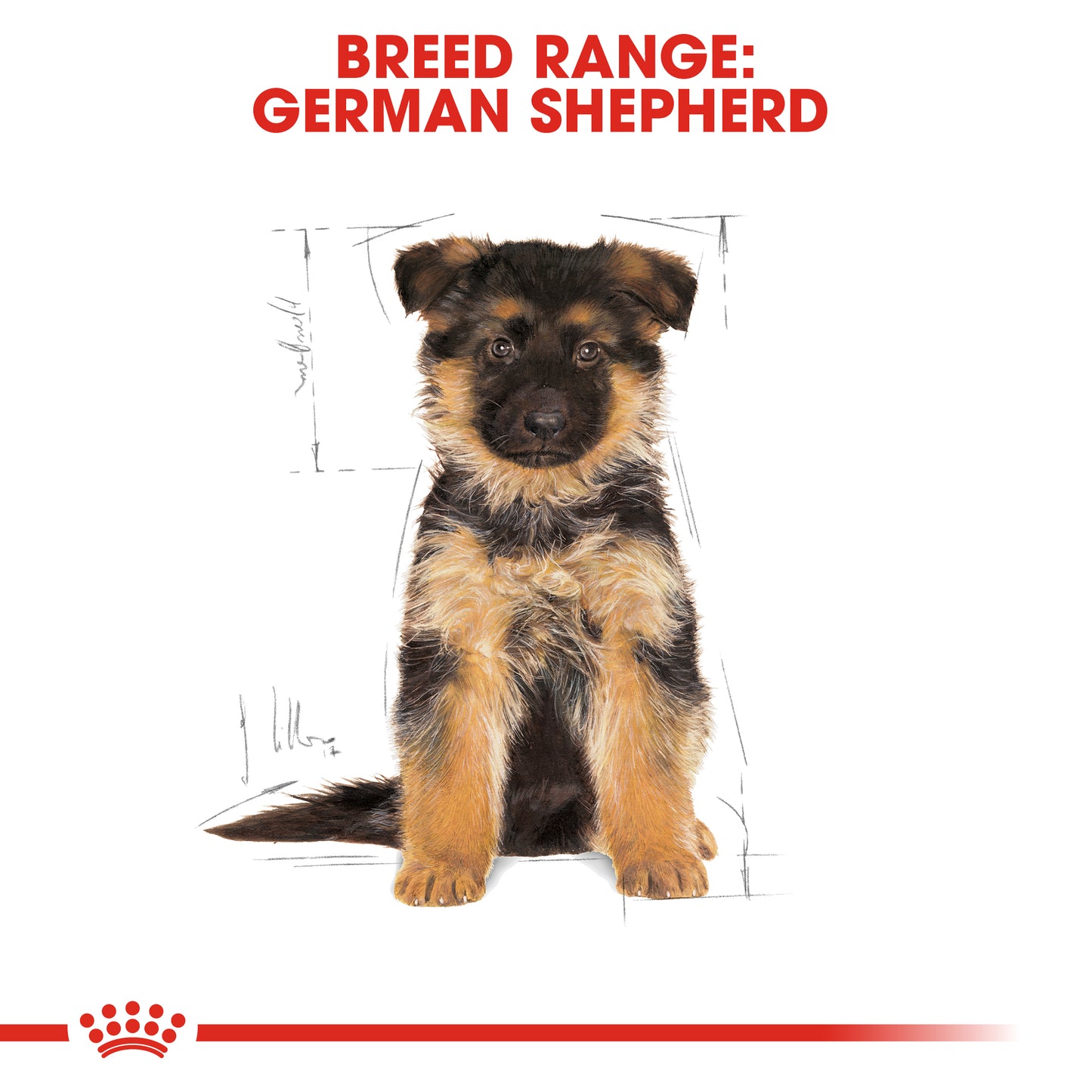 Royal Canin German Shepherd Puppy Dry Food