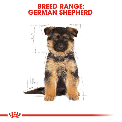 Royal Canin German Shepherd Puppy Dry Food