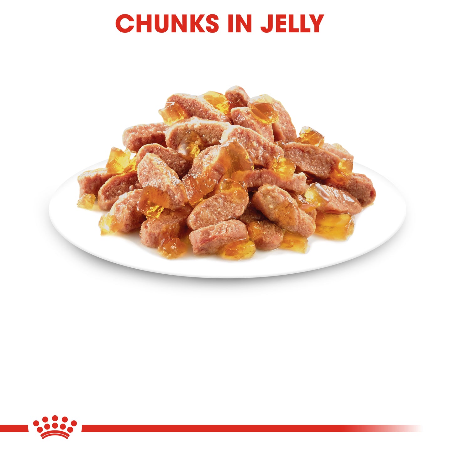 ROYAL CANIN® Kitten Wet Food