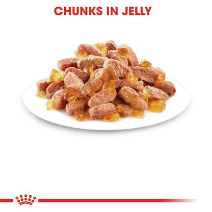 ROYAL CANIN® Kitten Wet Food