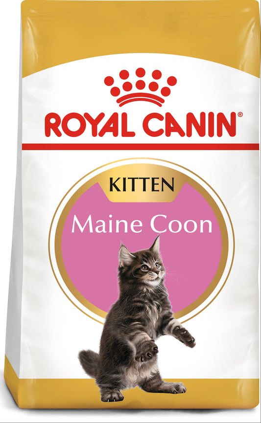 Royal Canin Coon Kitten Dry Food
