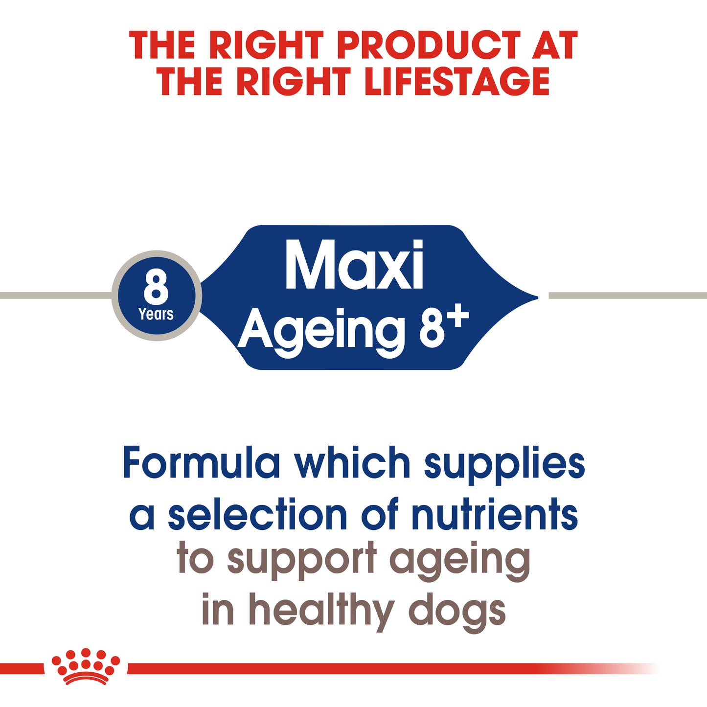 ROYAL CANIN® Maxi Ageing 8+ Dry Dog Food