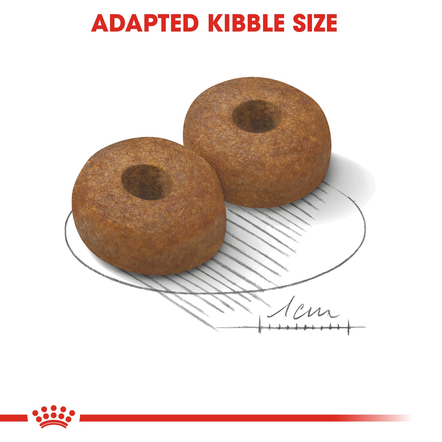 ROYAL CANIN® Maxi Ageing 8+ Dry Dog Food