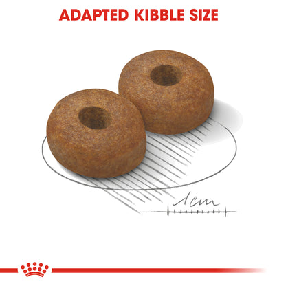 ROYAL CANIN® Maxi Ageing 8+ Dry Dog Food