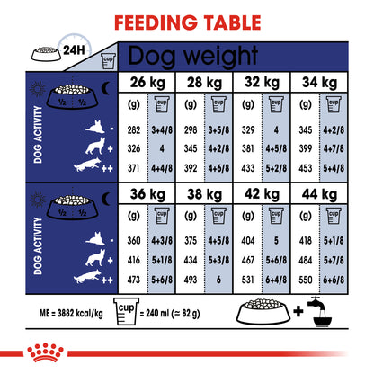 ROYAL CANIN® Maxi Ageing 8+ Dry Dog Food