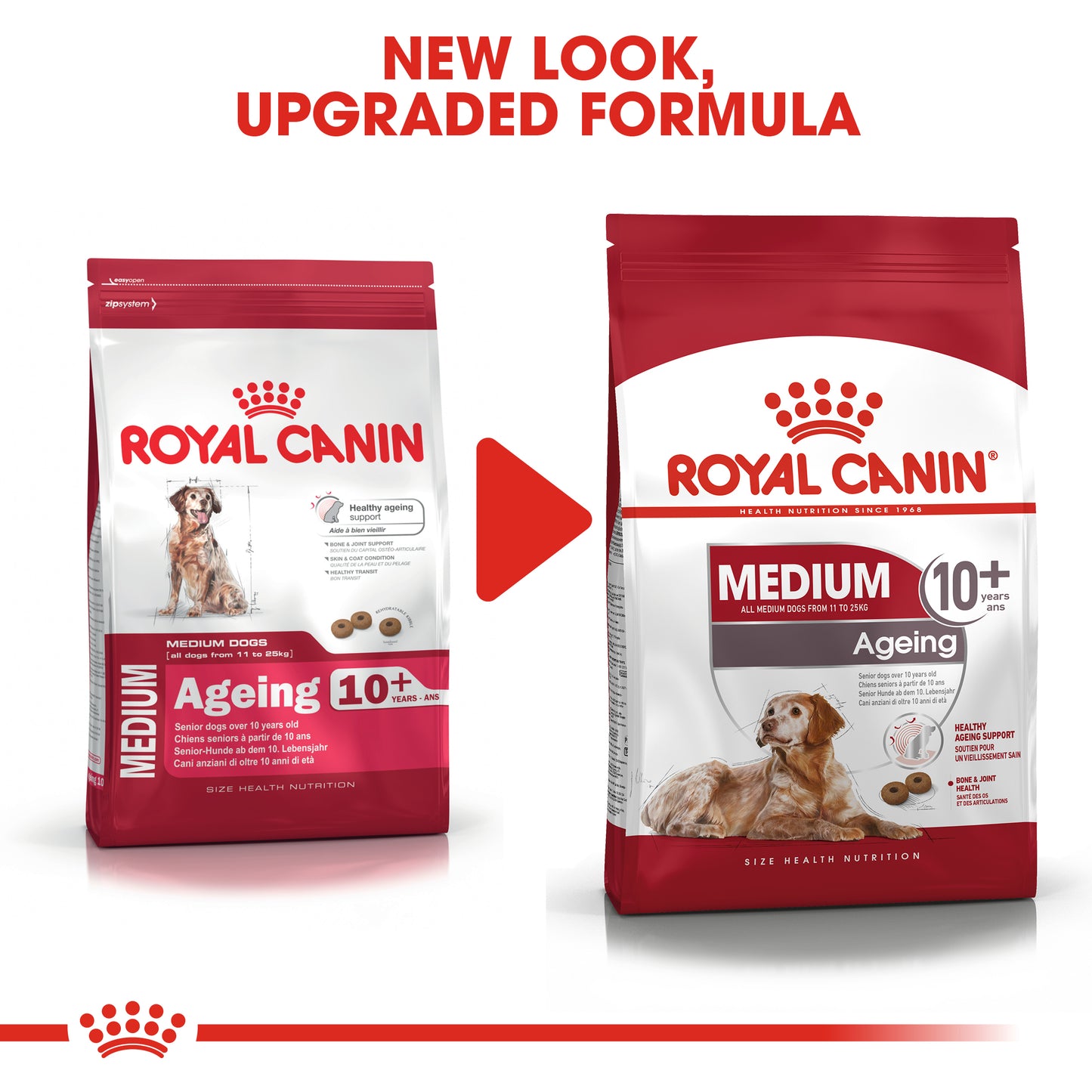 Royal Canin Medium Ageing 10+