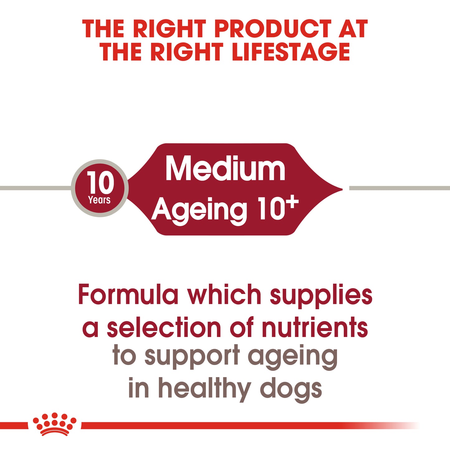 Royal Canin Medium Ageing 10+