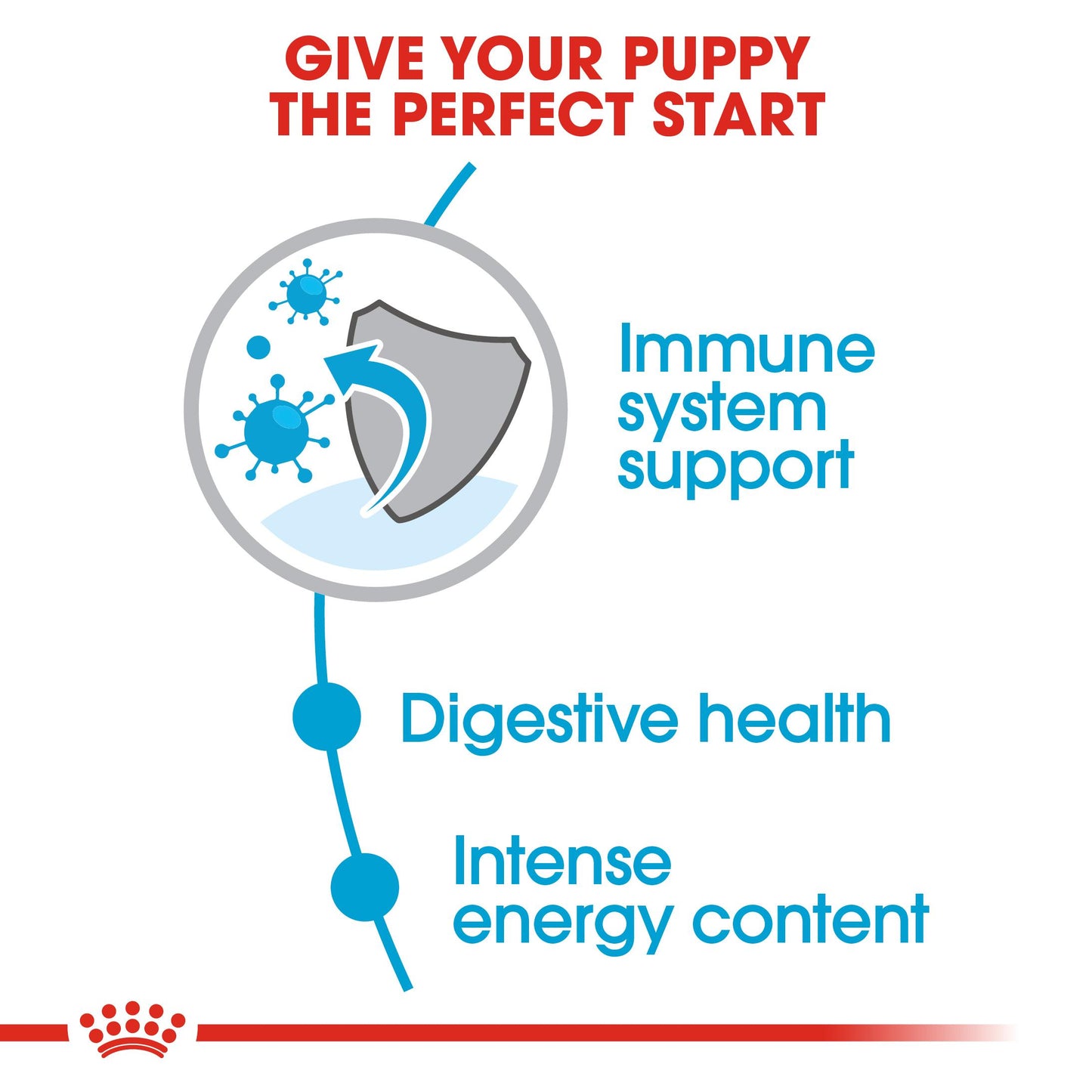 ROYAL CANIN® Mini Puppy Dry Dog Food