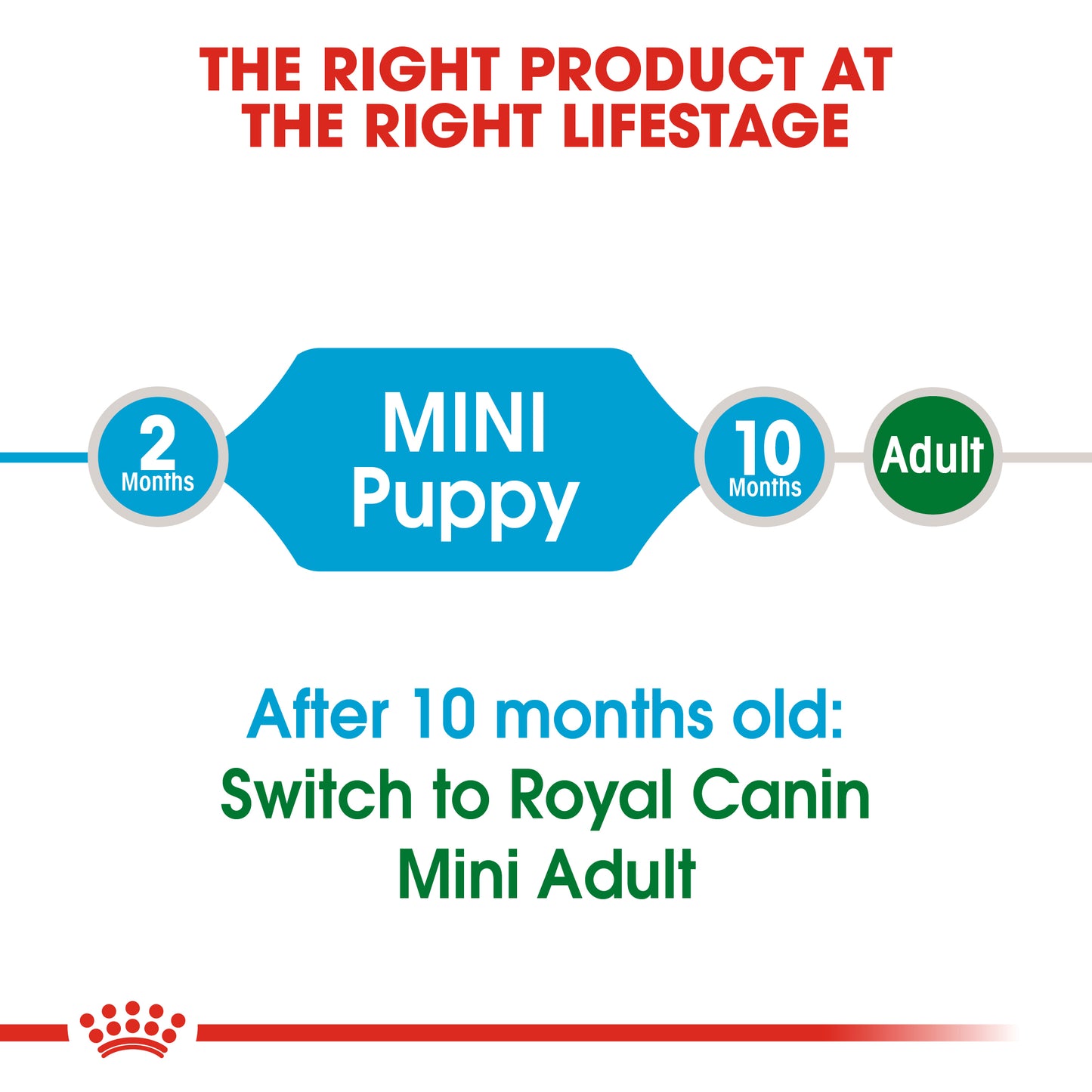 ROYAL CANIN® Mini Puppy Dry Dog Food