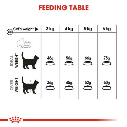 ROYAL CANIN® Oral Care Adult Dry Cat Food