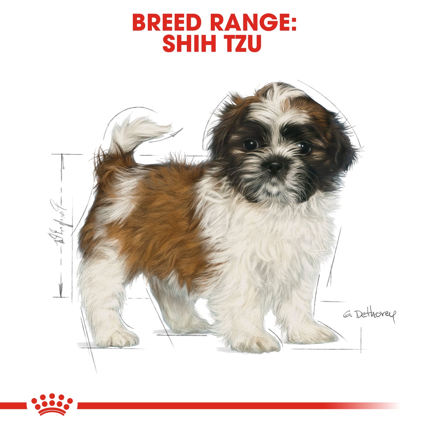 ROYAL CANIN Shih Tzu Puppy Dry Dog Food