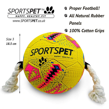 Sportspet Football Dog