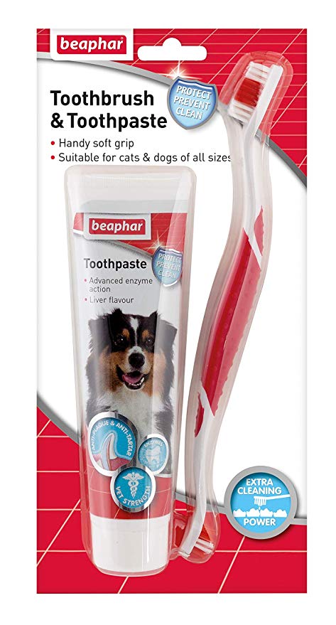 Beaphar Toothbrush & Toothpaste