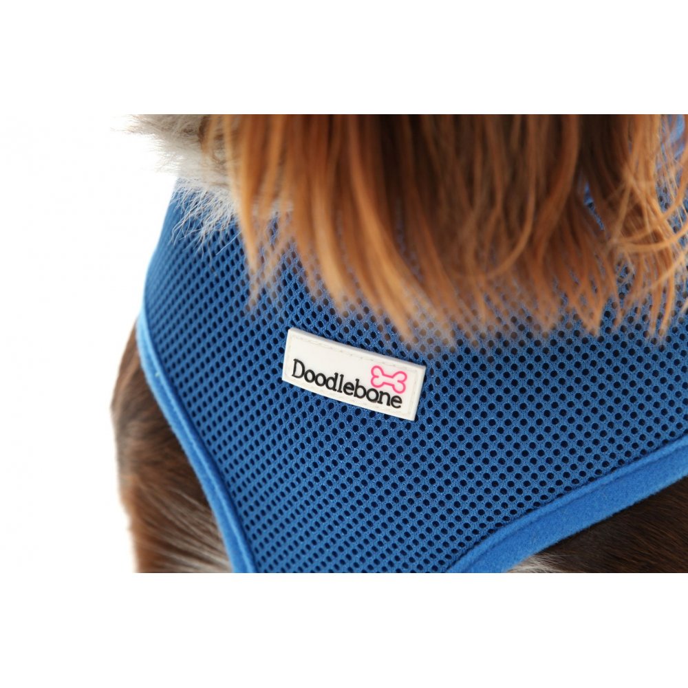 Doodlebone Air Mesh Harness