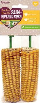 Rosewood Boredom Breaker Corn On The Cob Small Animal Chew Toys, 2pc, Case of 8