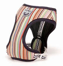 Hugo & Hudson Stripe Harness