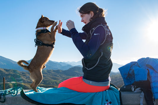 Hurtta Training Vest ECO – Blackberry