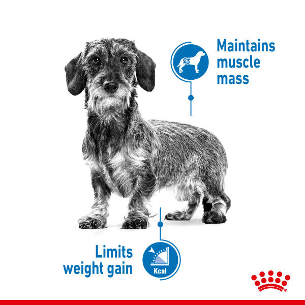 ROYAL CANIN® Mini Light Weight Care Adult Dry Dog Food