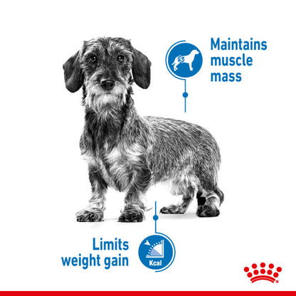 ROYAL CANIN® Mini Light Weight Care Adult Dry Dog Food