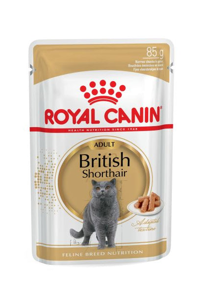 ROYAL CANIN British Shorthair Adult In Gravy Wet Cat Food