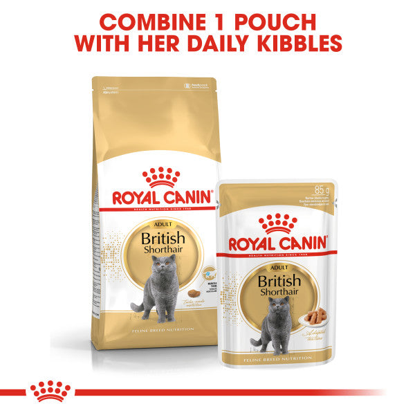 ROYAL CANIN British Shorthair Adult In Gravy Wet Cat Food