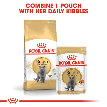 ROYAL CANIN British Shorthair Adult In Gravy Wet Cat Food